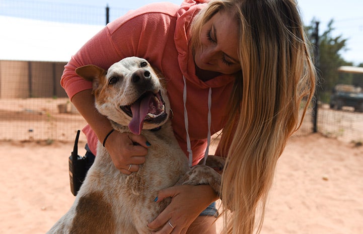 Once shy, Arroyo the heeler mix has really opened up thanks to caregiver, Kayla Sedbrook