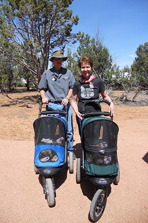 DeLana and George Folz taking cats on stroller rides