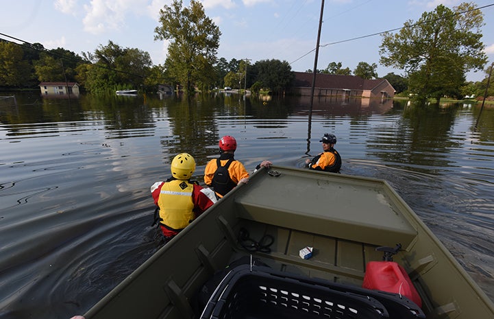 Best Friends emergency response team on the water, searching for stranded animals