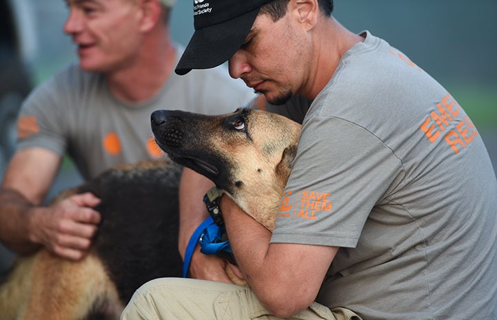 John Garcia comforts a pregnant German shepherd displaced by the hurricane