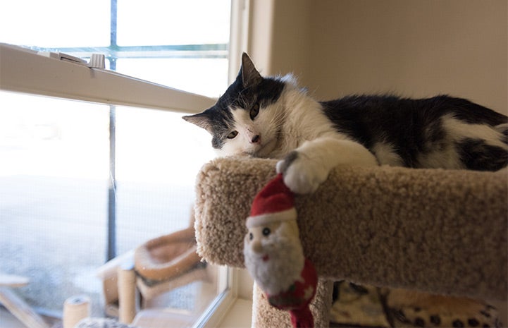 Osbourne plays with Santa