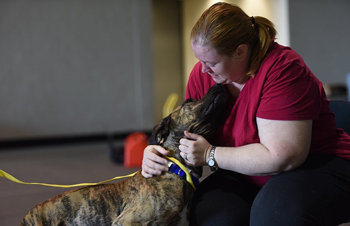 Diana Brown and her family have lost a lot in the past two weeks, but got their dog Marmaduke back