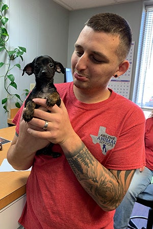 Smiling man holding a small Chihuahua type puppy