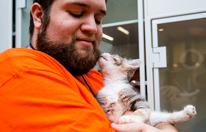 When Hail the kitten started gaining confidence and independence, her foster family brought her back to the adoption center