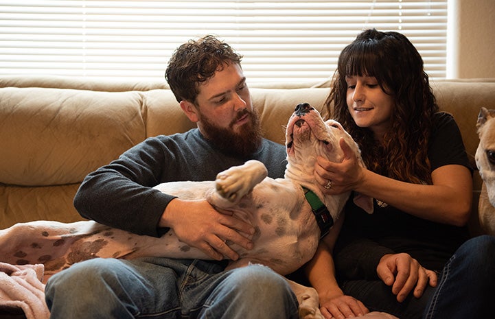 Man and woman snuggling with a dog on a couch