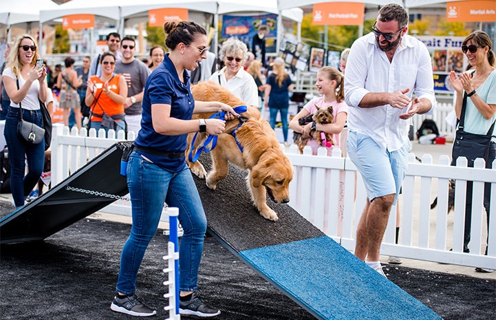 Fun on the agility course