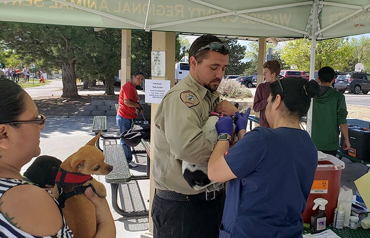 A pair of people holding and microchipping a small dog while another woman holds a dog waiting in line to be next