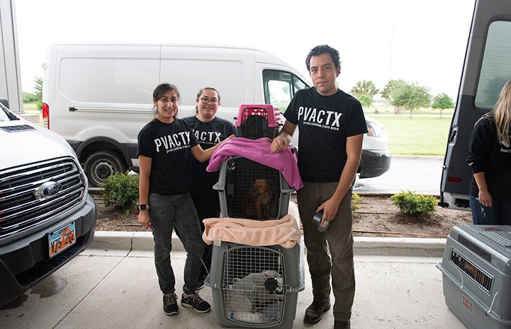 Three people preparing a transport with three crates holding animals