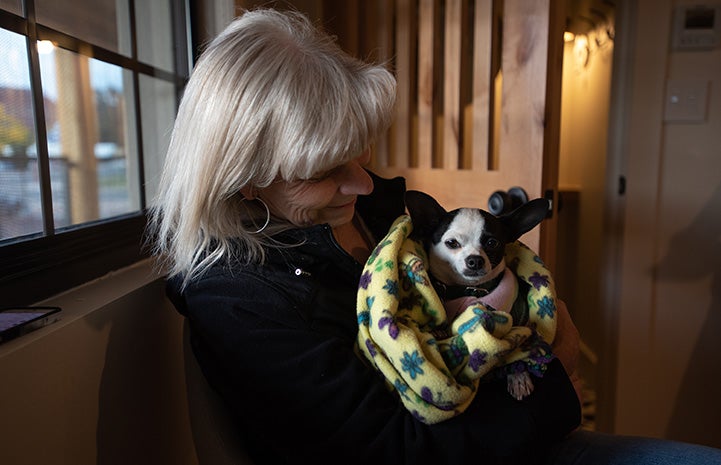 Robert Johnson the dog getting snuggled by a woman while being cradled in a blanket