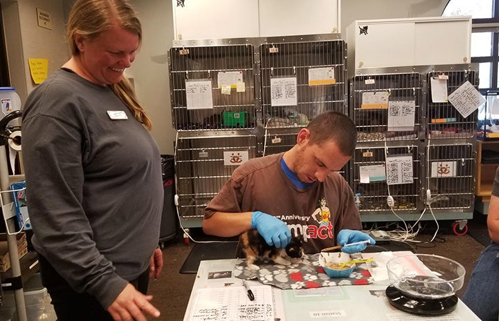 Woman smiling at a man learning to syringe feed a calico kitten in front of some kennels