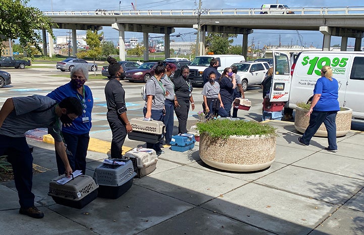 People moving animals in crates to a Uhaul transport van prior to a hurricane