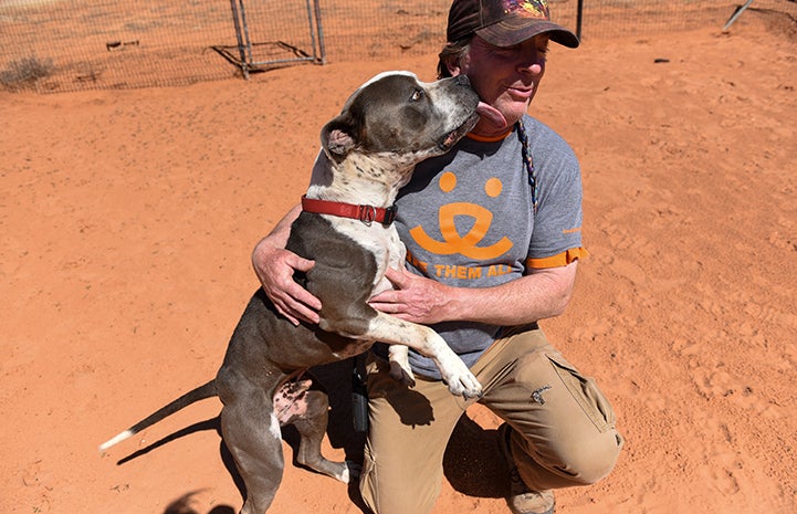 Jango the dog jumping up to give Dogtown caregiver Tom a kiss on the face