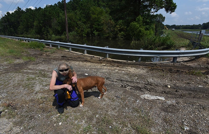 A thin, scared boxer found herself stranded and the Best Friends’ disaster response team stepped in to help