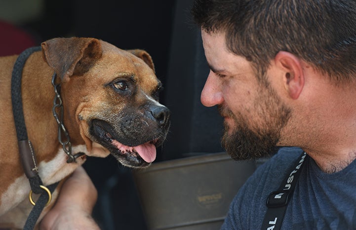 The medical exam also found revealed that it’s likely the boxer is (at least) partially blind, which may be why she tilts her head endearingly