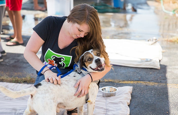 CAWS has led the charge with its 2,600-mile labor of love in taking in animals following Hurricane Harvey