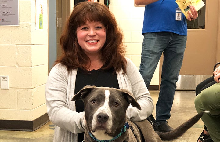 Smiling woman with a gray and white pit bull type dog