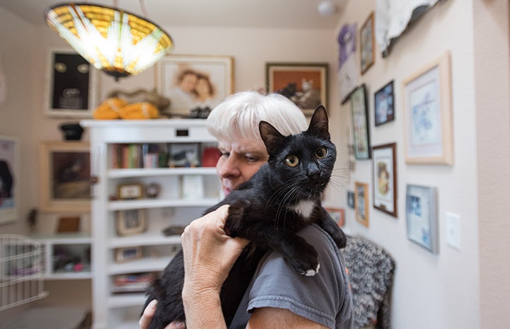 Cisco the black and white cat sitting on a woman's shoulder