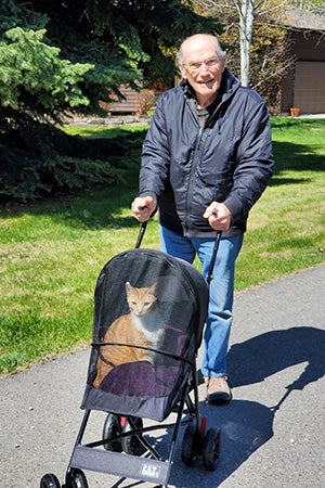 Newton the cat being pushed outside in a stroller