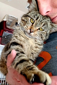 Levi snuggling a brown tabby cat