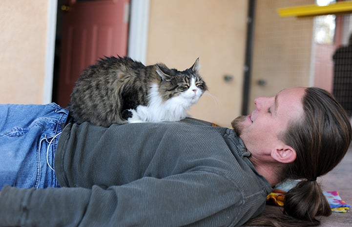 Cat World caregiver Levi Myers lying down on the floor with a very happy cat lying on his chest