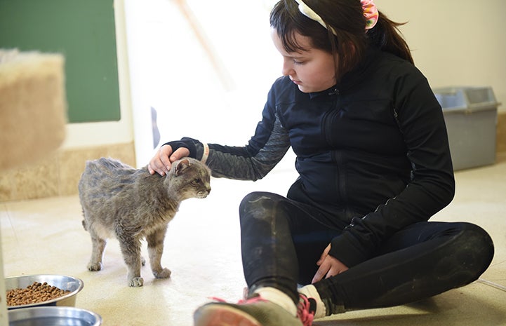 Young woman sitting on the ground petting Tessa, a senior gray cat