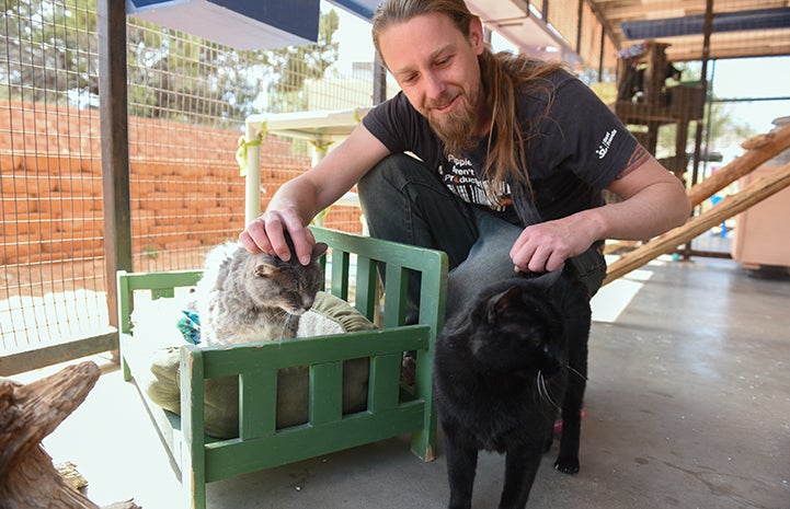 Tessa the cat surprised her caregivers by allowing them to pet her