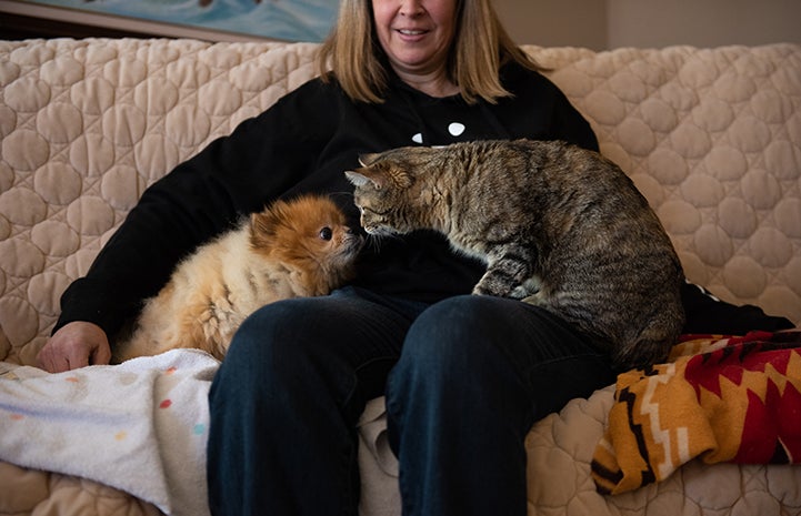 Birdie the cat and a little dog from her new home sitting on her adopter's lap