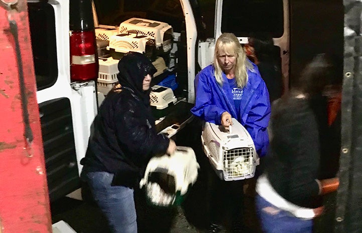 People loading cat carriers into the back of a van at night