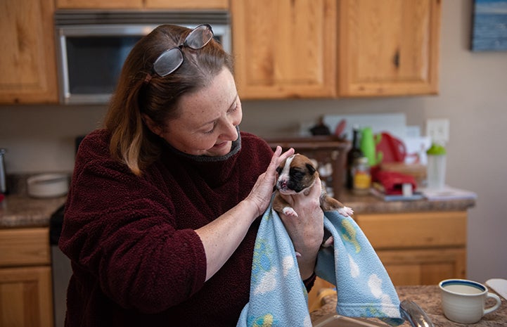 Smiling woman petting and holding Taco the puppy in a small blanket