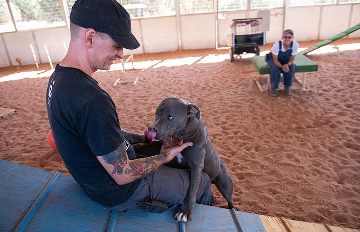 Bossco the dog looking at a man while leaning up on some agility equipment