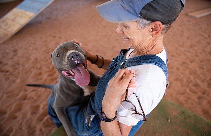 Bossco the dog with mouth open and tongue out leaning up on a smiling woman