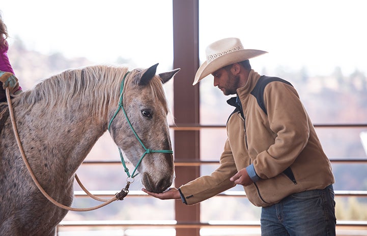 Horse eating something out of the open hand of a man wearing a cowboy hat