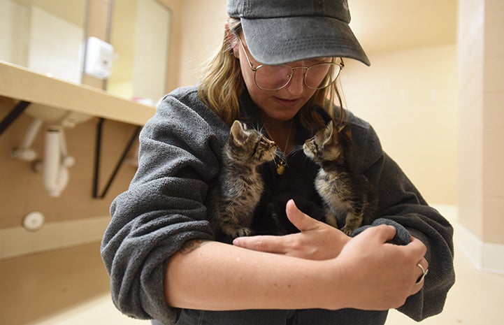 Kittens getting their first cuddles figure out that people aren’t so scary after all