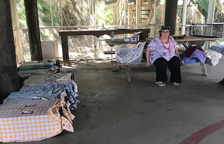 Woman sitting in area with multiple covered humane traps containing cats for TNR