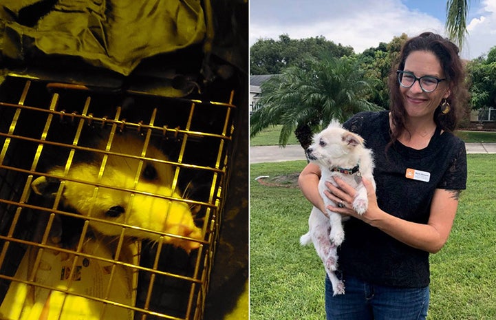 Sometimes we catch and help non-cats too, like this possum, and sweet dog, Sandy, pictured with Marla Browne