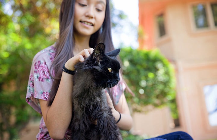  Janet the cat has found her happy place, right in Jessica's lap