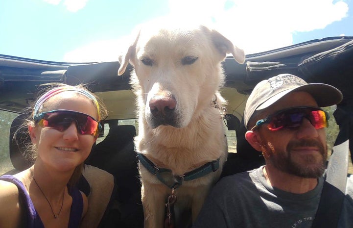 Dog sitting between two people in a car