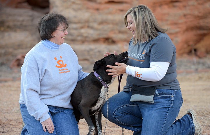 Dogtown caregivers and trainers work with Castiel to help bring some peace to his life