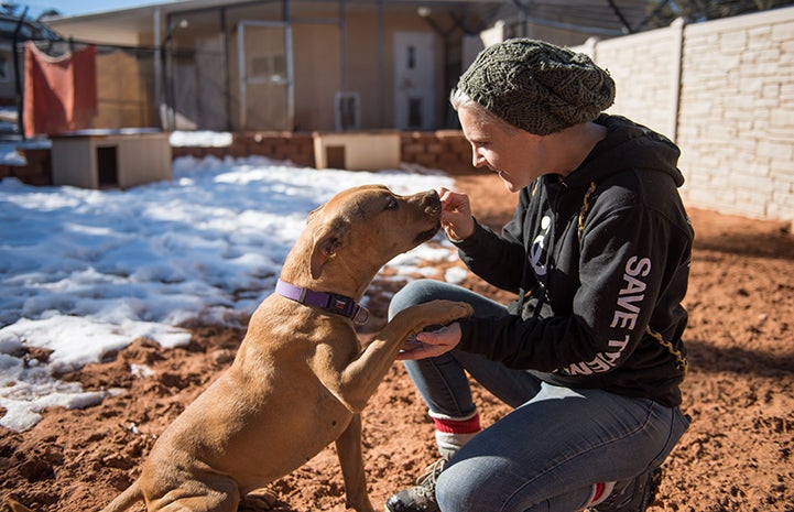 Woman wearing a Save Them All long-sleeved shirt playing with Rad the dog