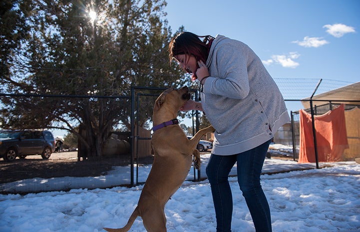 Rad the dog jumping up on a woman volunteer