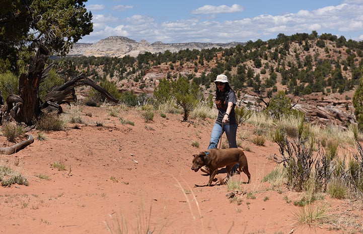 Rella, going for a walk with a woman, in Angel Canyon