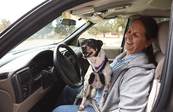 A smiling Pamela Zika sitting in a car, holding Rascal the dog in her lap