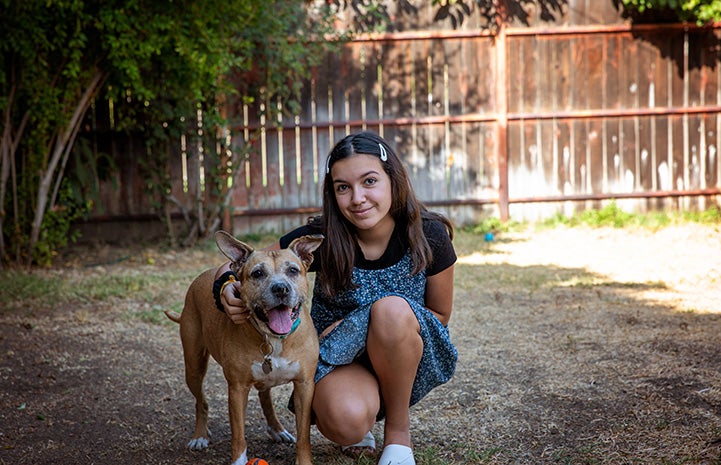 Young girl next to Boxy Brown the dog in a fenced yard