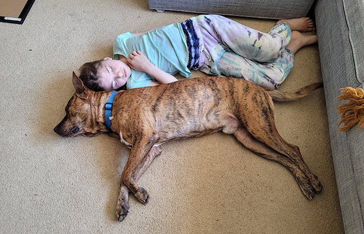 Young boy lying on the floor next to brindle dog Pancho