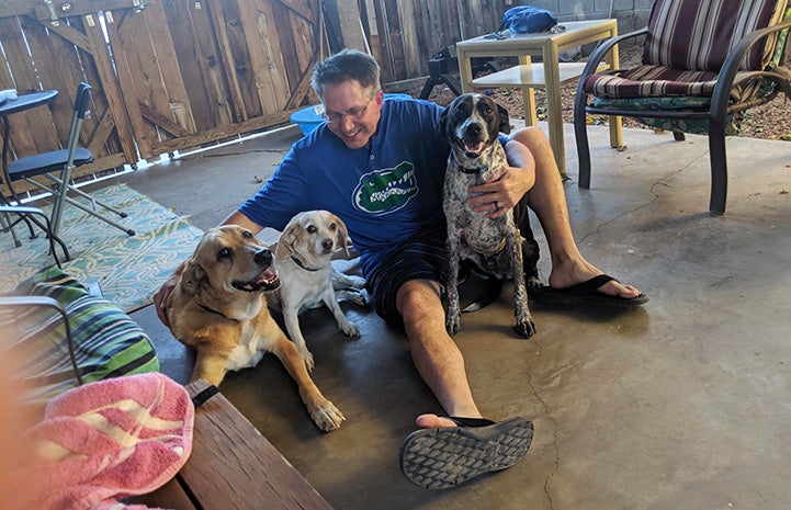 Lance sitting on the ground with Ralph and two other dogs