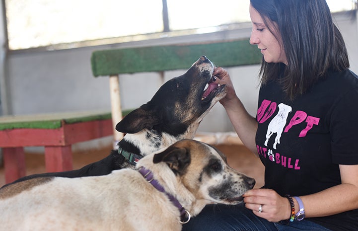 Wyatt and Caroline the dogs get a treat from a woman inside Tara's Run