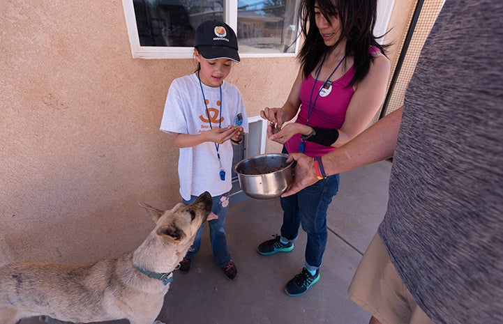 Volunteers helping Wookie eat