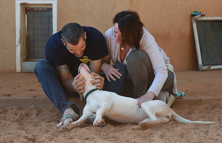 It was love at first sight between Patricia Gunning and John Pike and Ever, a white pit bull terrier type puppy with bowed legs