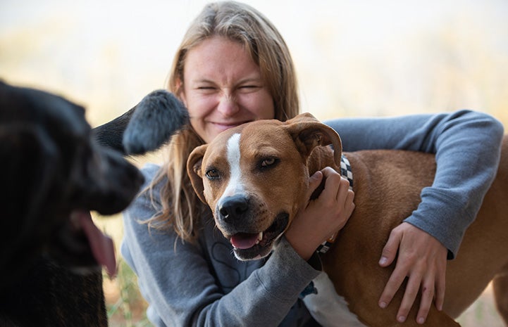 Woman with her arm around Guy the dog with Willow the other dog looking at them