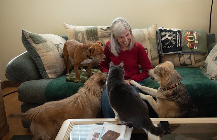 Local volunteer Fredi Miller took Benjamin in to foster the little dog during his heartworm treatment